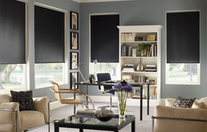 BlackOut Roller Shades