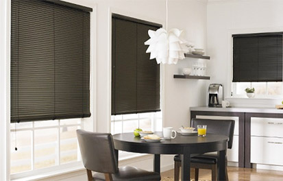 Vinyl Blinds